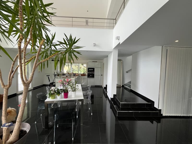Réf: 11170*** Hégenheim limite Buschwiller: Propriété d'exception de haut standing env. 300 m² (3)