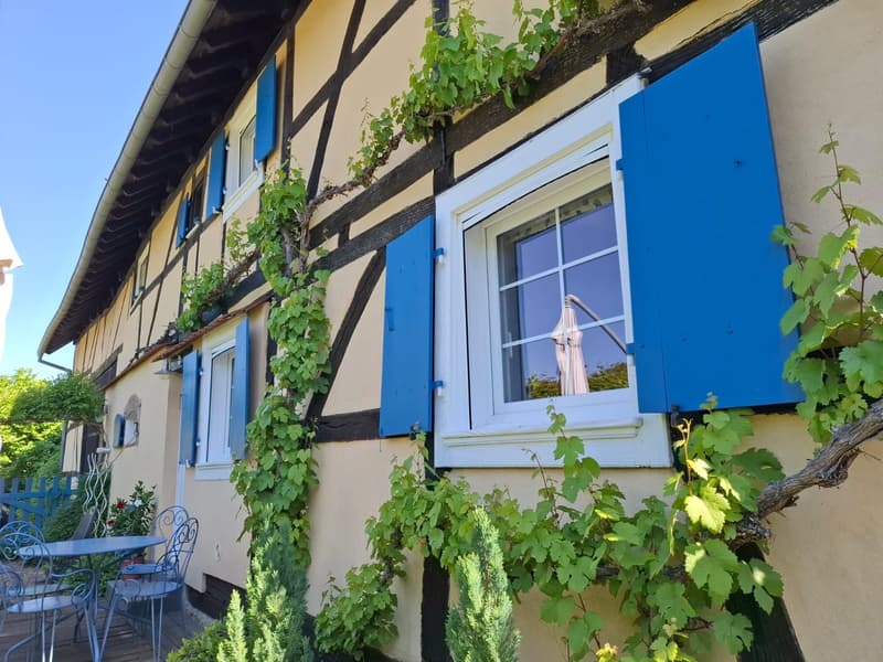 Réf: 11134: Axe Bâle - Altkirch: Propriété env. 155 m² + surface utile env. 113 m² (13)