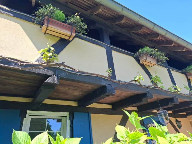 Réf: 11134: Axe Bâle - Altkirch: Propriété env. 155 m² + surface utile env. 113 m² (10)