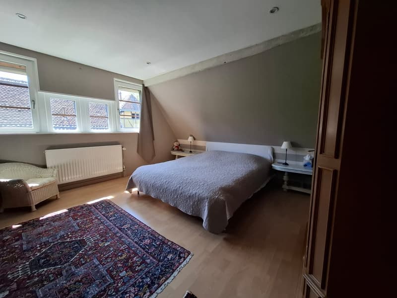 Réf: 11134: Axe Bâle - Altkirch: Propriété env. 155 m² + surface utile env. 113 m² (38)