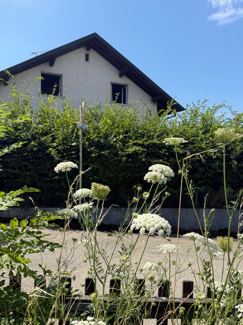 Réf: 111181*** Sect. Neuwiller/ Leymen: Très belle maison de famille env. 210 m² (9)
