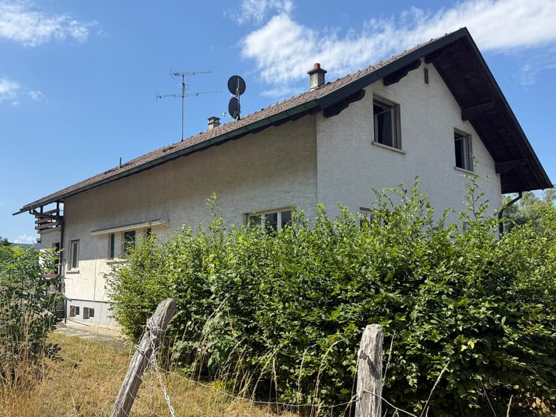Réf: 111181*** Sect. Neuwiller/ Leymen: Très belle maison de famille env. 210 m² (36)