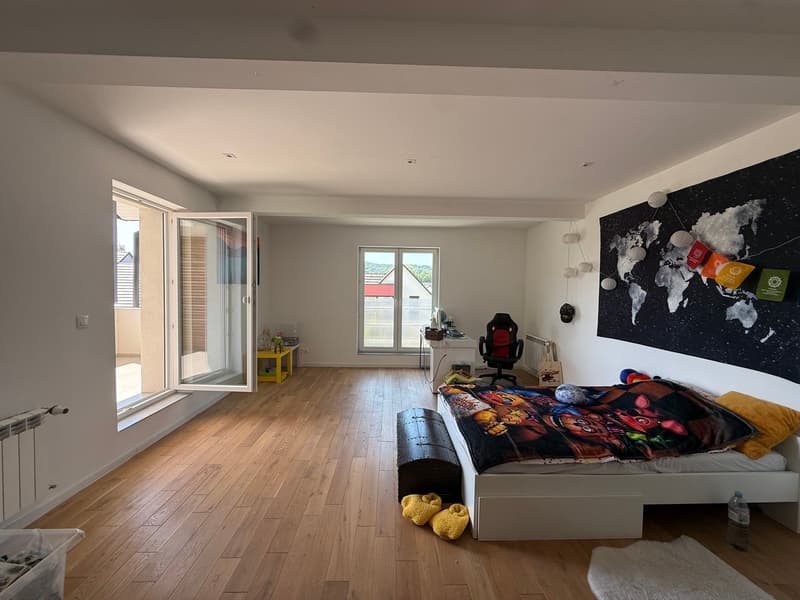Réf: 11178*** Couronne Sud de Mulhouse: Splendide Villa de classe env. 330 m² (29)