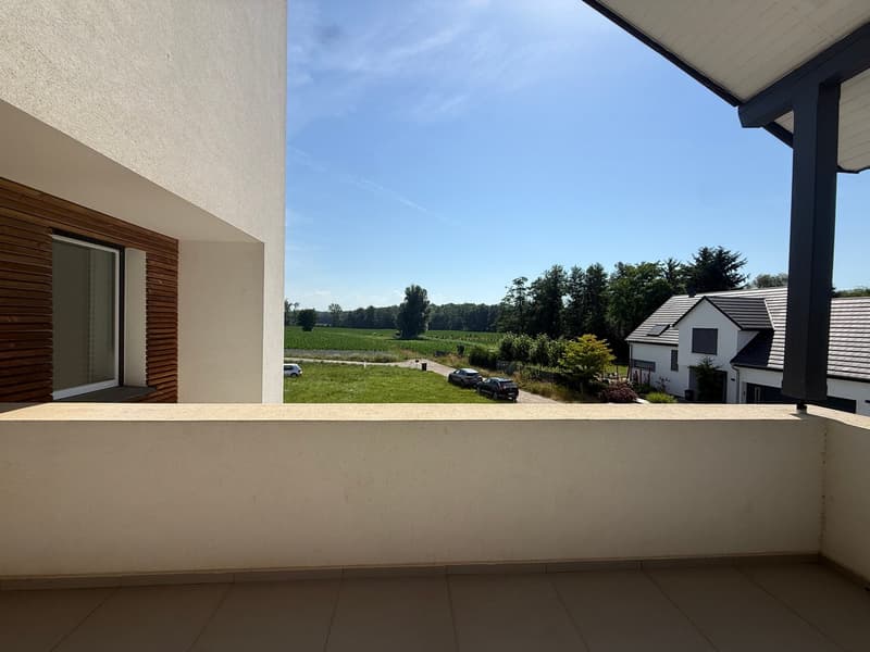 Réf: 11178*** Couronne Sud de Mulhouse: Splendide Villa de classe env. 330 m² (21)