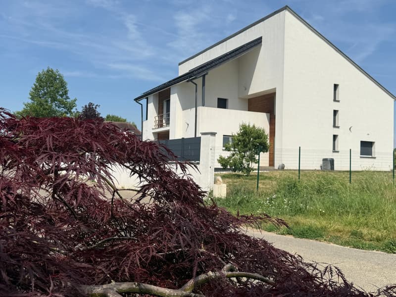 Réf: 11178*** Couronne Sud de Mulhouse: Splendide Villa de classe env. 330 m² (1)