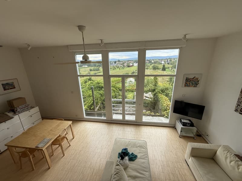 Réf: 11185*** Sect. Attenschwiller / Michelbach: Magnifique maison d'architecte env. 145 m² (25)