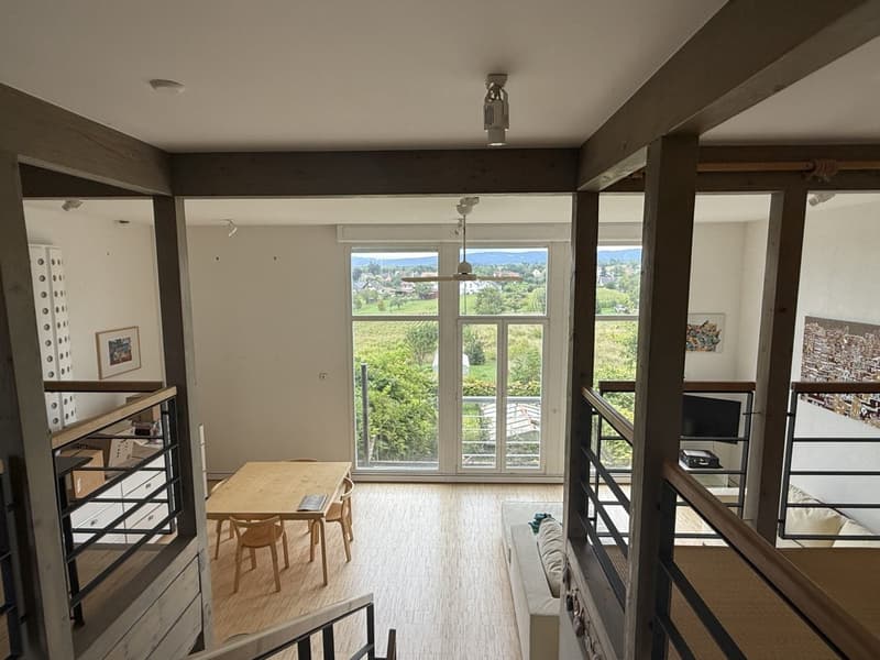 Réf: 11185*** Sect. Attenschwiller / Michelbach: Magnifique maison d'architecte env. 145 m² (23)