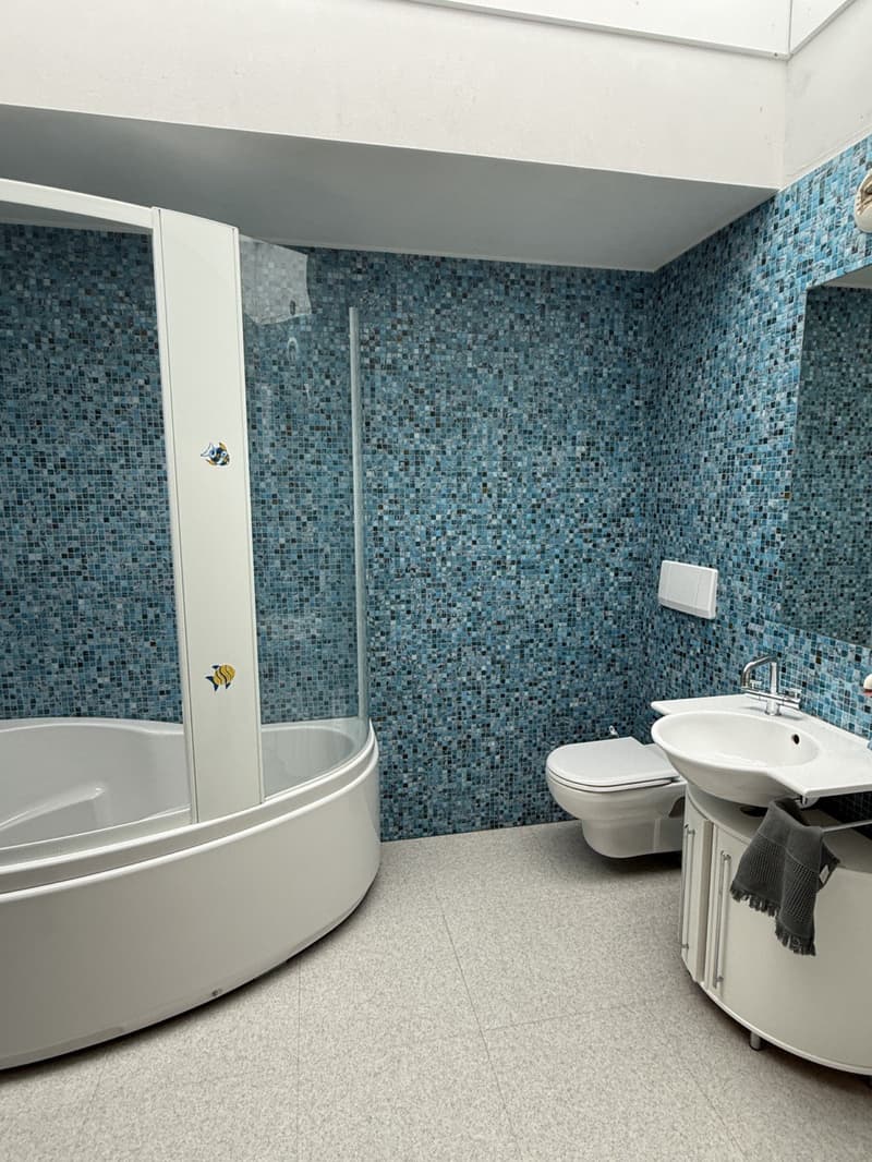 Réf: 11185*** Sect. Attenschwiller / Michelbach: Magnifique maison d'architecte env. 145 m² (16)