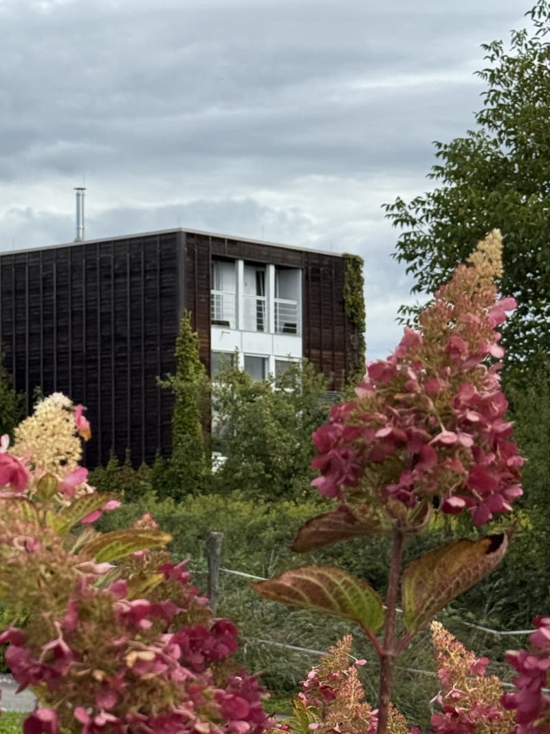 Réf: 11185*** Sect. Attenschwiller / Michelbach: Magnifique maison d'architecte env. 145 m² (10)