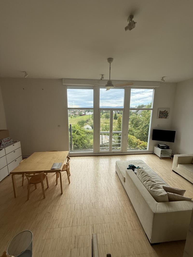 Réf: 11185*** Sect. Attenschwiller / Michelbach: Magnifique maison d'architecte env. 145 m² (11)