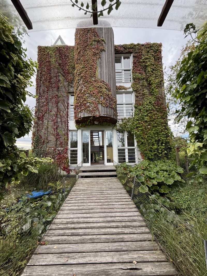 Réf: 11185*** Sect. Attenschwiller / Michelbach: Magnifique maison d'architecte env. 145 m² (1)