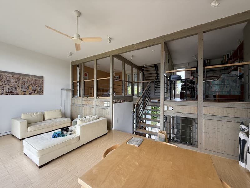 Réf: 11185*** Sect. Attenschwiller / Michelbach: Magnifique maison d'architecte env. 145 m² (22)