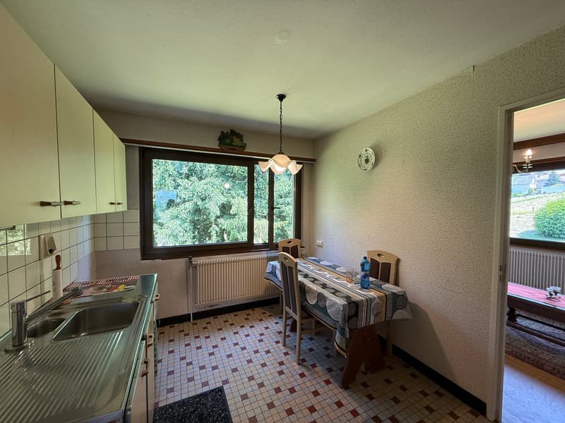 Réf: 11168*** Région frontalière, Sect. Hégenheim / Hagenthal: belle maison conviviale env. 130 m² (5)