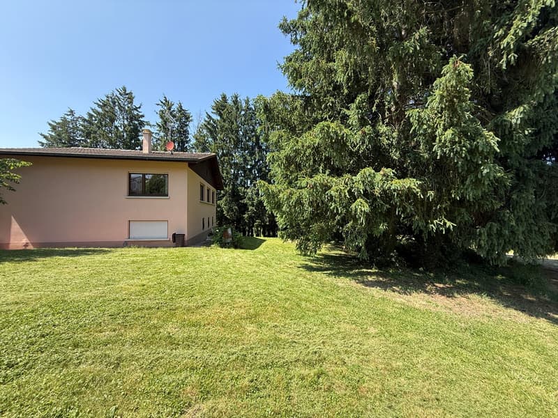 Réf: 11168*** Région frontalière, Sect. Hégenheim / Hagenthal: belle maison conviviale env. 130 m² (15)
