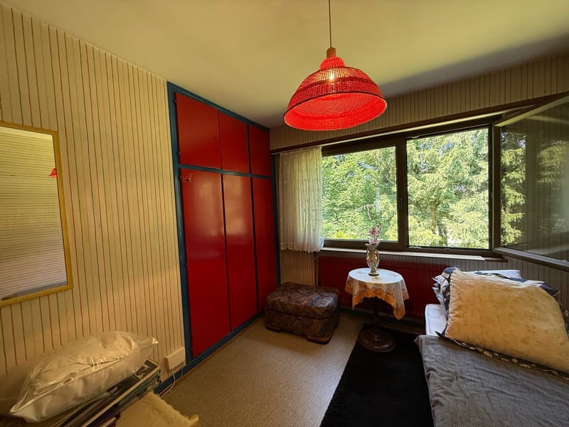 Réf: 11168*** Région frontalière, Sect. Hégenheim / Hagenthal: belle maison conviviale env. 130 m² (21)
