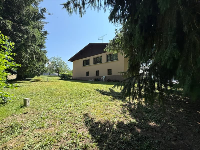 Réf: 11168*** Région frontalière, Sect. Hégenheim / Hagenthal: belle maison conviviale env. 130 m² (14)