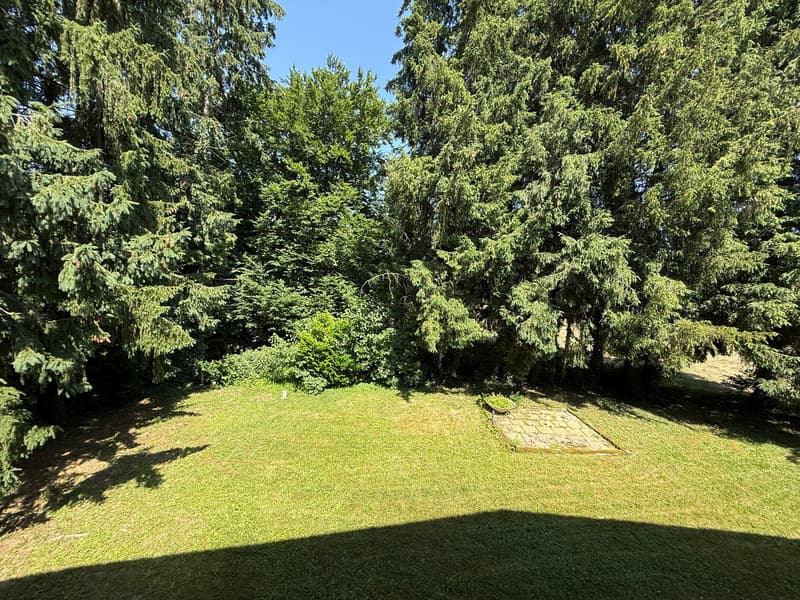 Réf: 11168*** Région frontalière, Sect. Hégenheim / Hagenthal: belle maison conviviale env. 130 m² (8)