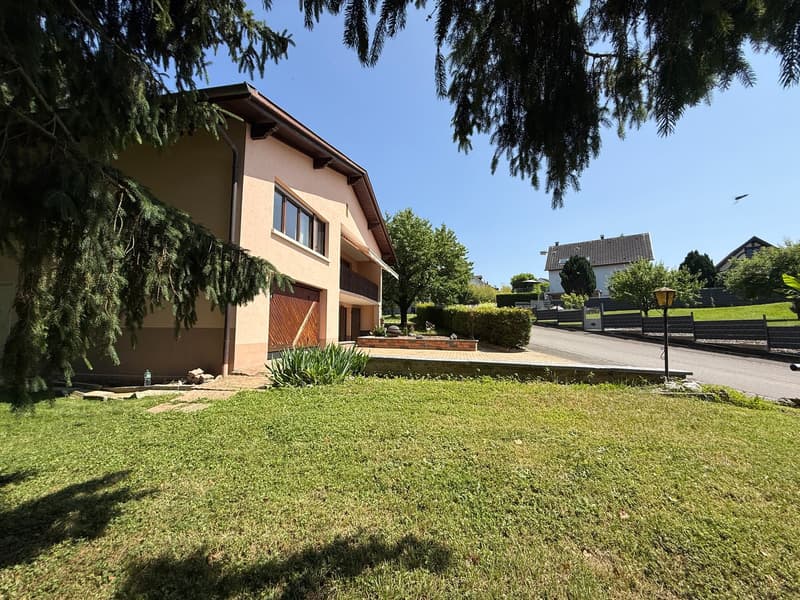 Réf: 11168*** Région frontalière, Sect. Hégenheim / Hagenthal: belle maison conviviale env. 130 m² (24)