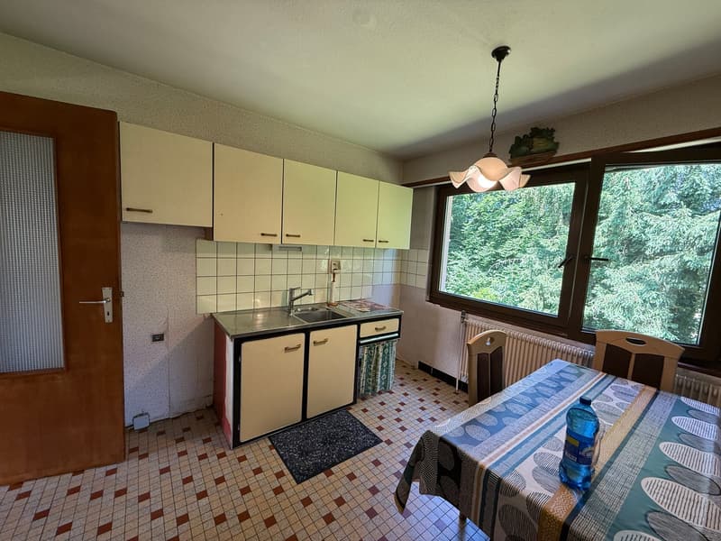 Réf: 11168*** Région frontalière, Sect. Hégenheim / Hagenthal: belle maison conviviale env. 130 m² (10)
