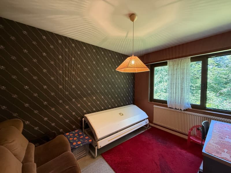 Réf: 11168*** Région frontalière, Sect. Hégenheim / Hagenthal: belle maison conviviale env. 130 m² (13)