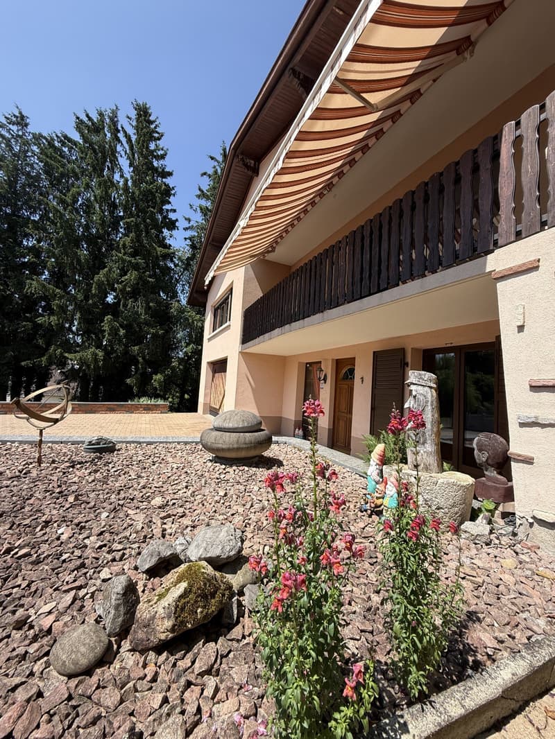 Réf: 11168*** Région frontalière, Sect. Hégenheim / Hagenthal: belle maison conviviale env. 130 m² (17)