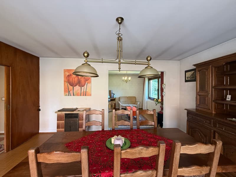 Réf: 11168*** Région frontalière, Sect. Hégenheim / Hagenthal: belle maison conviviale env. 130 m² (19)