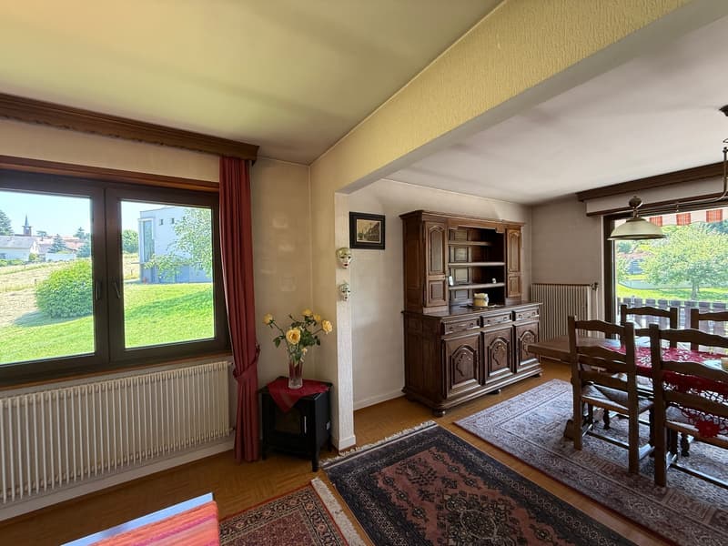 Réf: 11168*** Région frontalière, Sect. Hégenheim / Hagenthal: belle maison conviviale env. 130 m² (18)