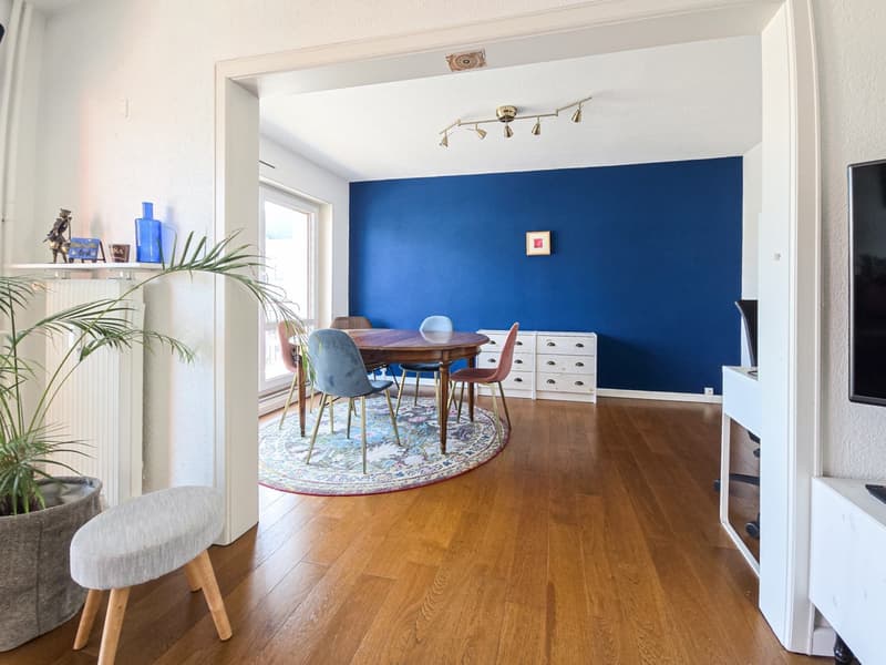 Réf: 11186*** St. Louis frontières Basel: appartement traversant très lumineux de 102 m² (11)