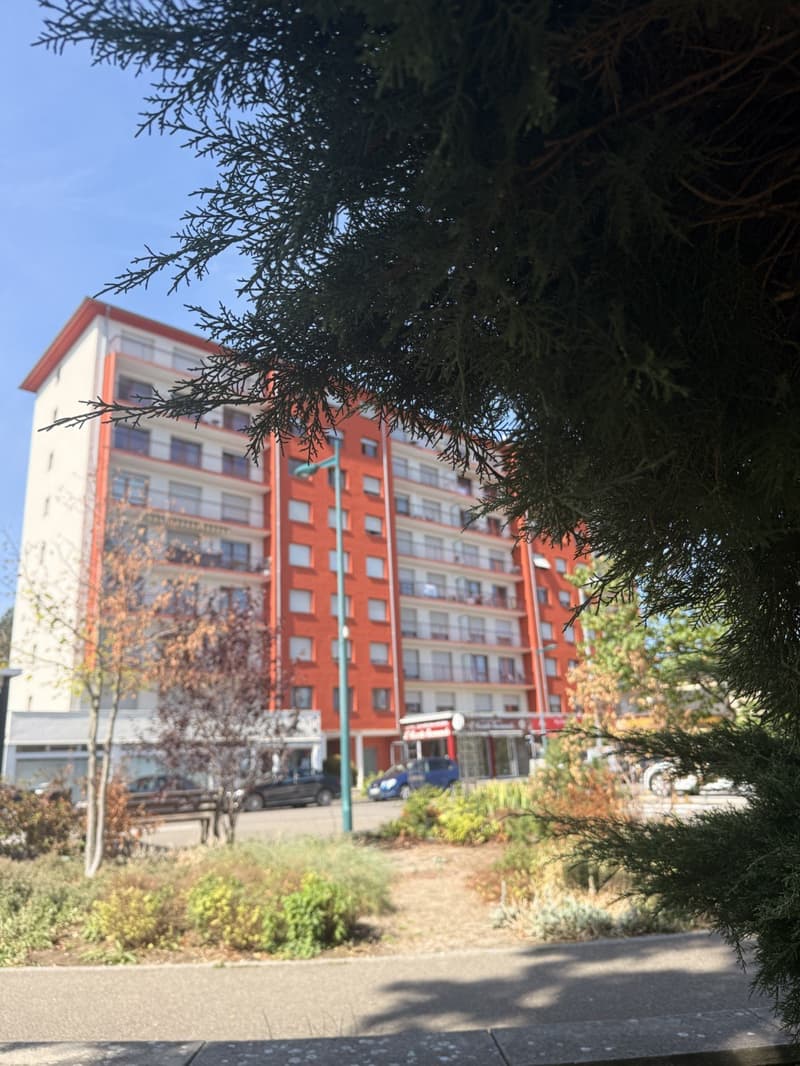 Réf: 11186*** St. Louis frontières Basel: appartement traversant très lumineux de 102 m² (7)