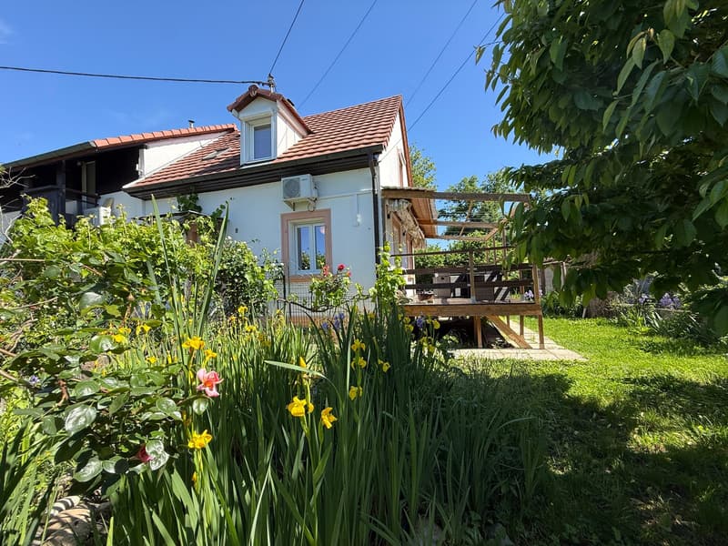 Réf: 11175***Région frontalière: Belle maison env. 150 m² (42)