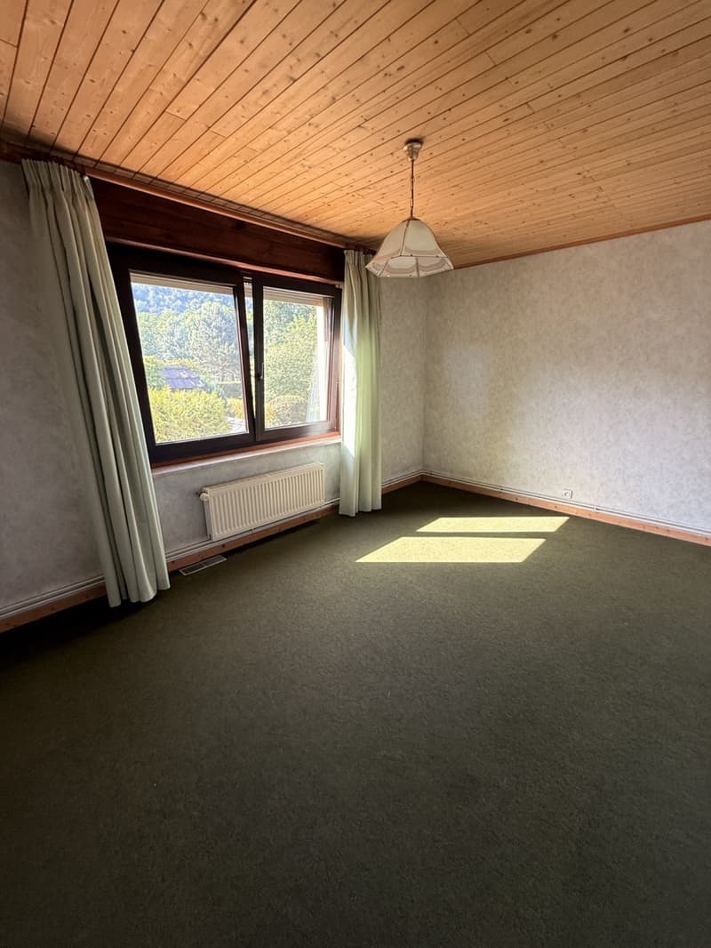 Réf: 11174*** Sect. Leymen - Rodersdorf SO Suisse: Magnifique propriété env. 330 m² (26)