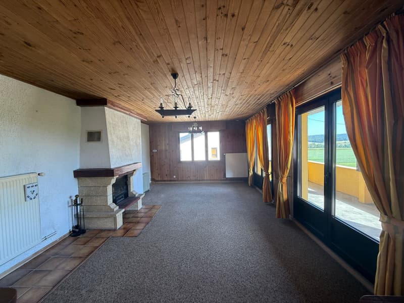 Réf: 11174*** Sect. Leymen - Rodersdorf SO Suisse: Magnifique propriété env. 330 m² (27)