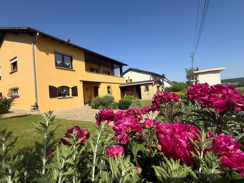 Réf: 11174*** Sect. Leymen - Rodersdorf SO Suisse: Magnifique propriété env. 330 m² (36)
