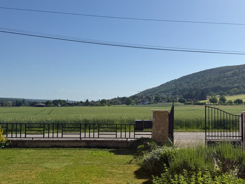 Réf: 11174*** Sect. Leymen - Rodersdorf SO Suisse: Magnifique propriété env. 330 m² (47)
