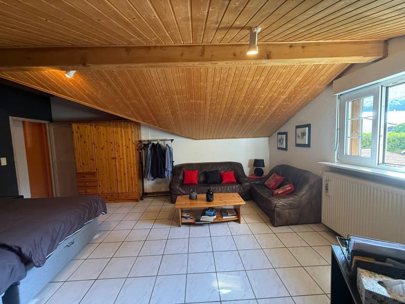 Réf: 11174*** Sect. Leymen - Rodersdorf SO Suisse: Magnifique propriété env. 330 m² (16)