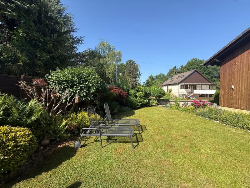 Réf: 11174*** Sect. Leymen - Rodersdorf SO Suisse: Magnifique propriété env. 330 m² (45)