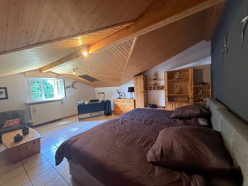 Réf: 11174*** Sect. Leymen - Rodersdorf SO Suisse: Magnifique propriété env. 330 m² (18)