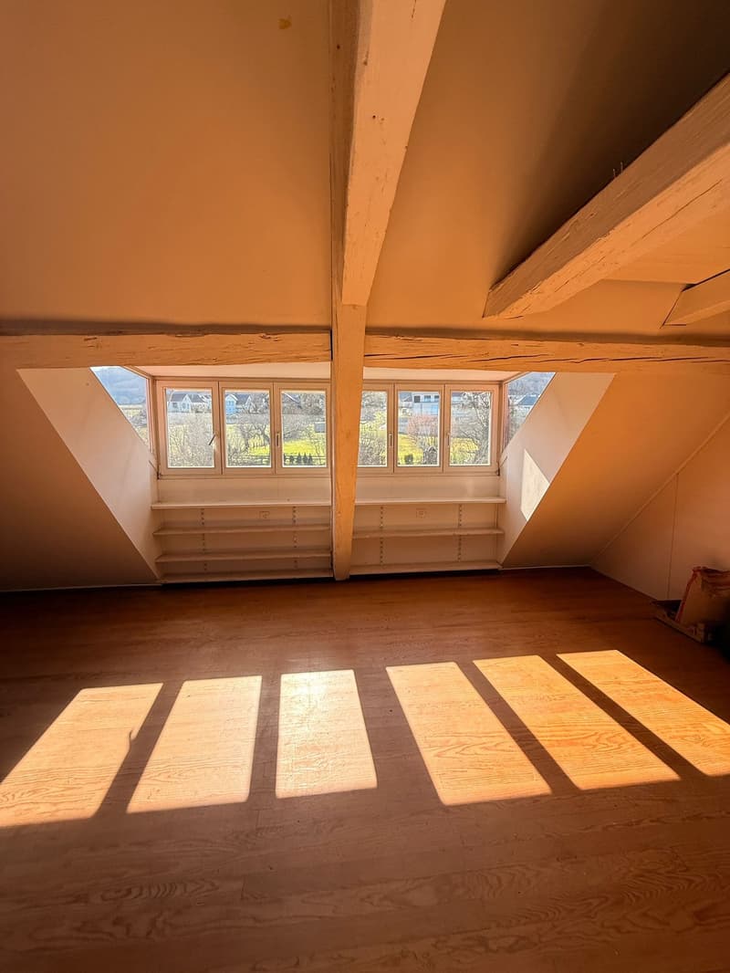 11182 - Prix: 573.000 € - Très belle maison Alsacienne accolée, possibilité deux logements (10)