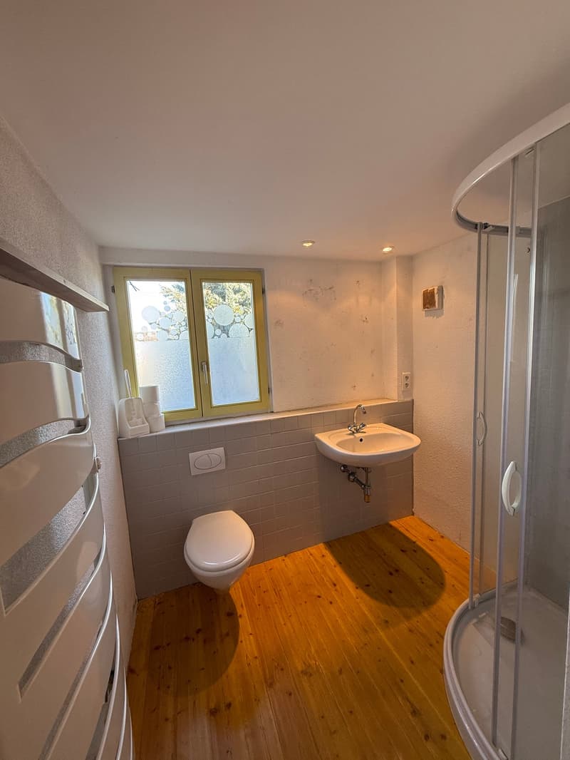 11182 - Prix: 573.000 € - Très belle maison Alsacienne accolée, possibilité deux logements (7)
