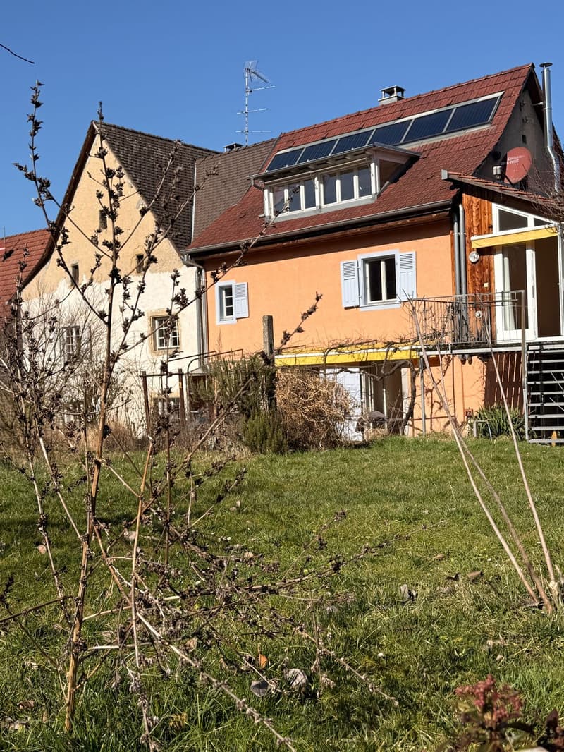 11182 - Prix: 573.000 € - Très belle maison Alsacienne accolée, possibilité deux logements (22)
