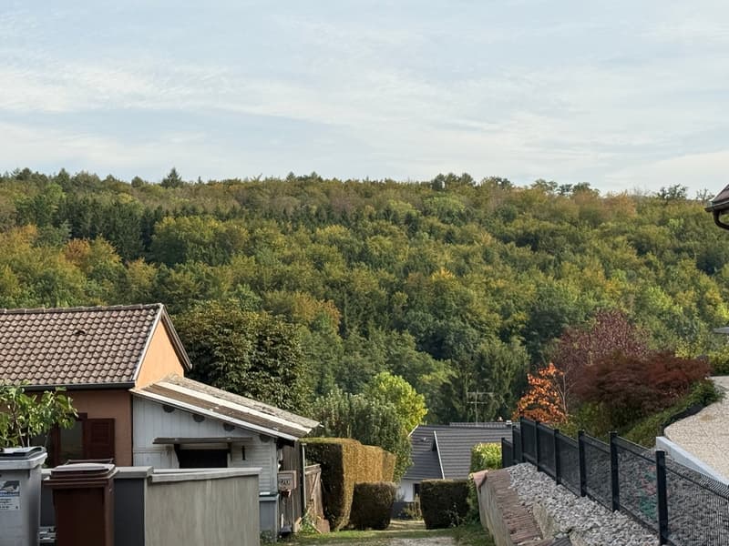 Réf: 11190*** Secteur Leymen / Oltingue: Charmante maison plain pied à rénover env. 60 m² (22)
