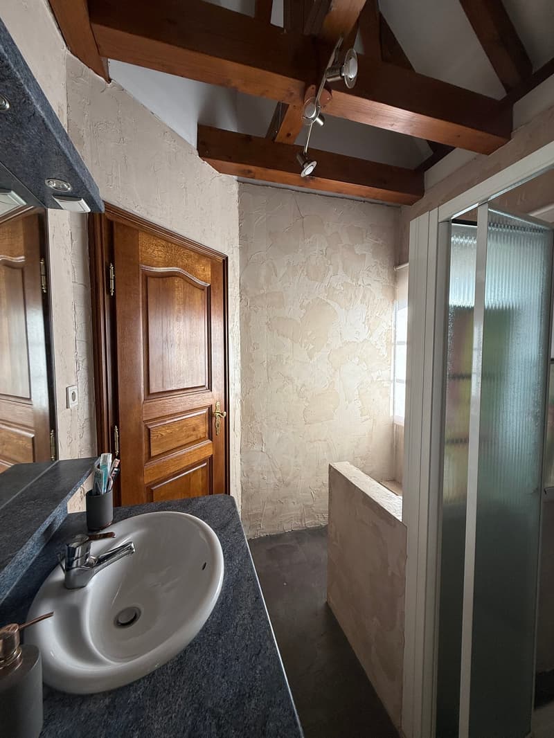 Réf: 11191*** Sect. Houssen / Bennwihr: Propriété bourgeoise env. 230 m² (36)