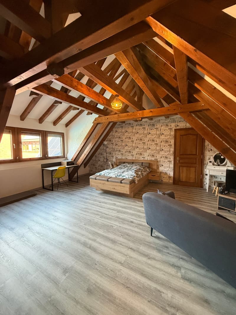 Réf: 11191*** Sect. Houssen / Bennwihr: Propriété bourgeoise env. 230 m² (13)