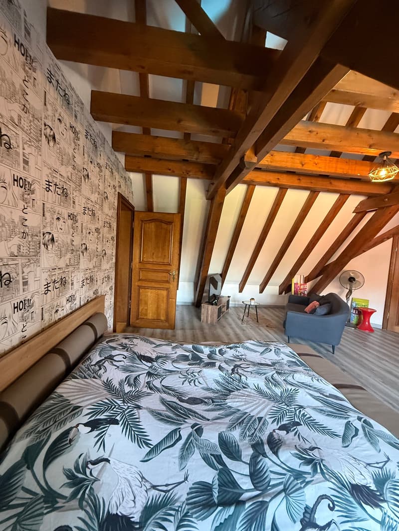 Réf: 11191*** Sect. Houssen / Bennwihr: Propriété bourgeoise env. 230 m² (51)