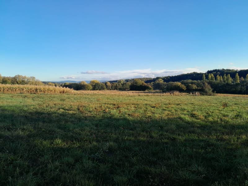 Réf: 11193*** Sundgau - Hirsingue: Magnifique terrain env. 22 ares (3)