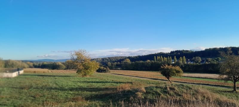 Réf: 11193*** Sundgau - Hirsingue: Magnifique terrain env. 22 ares (4)