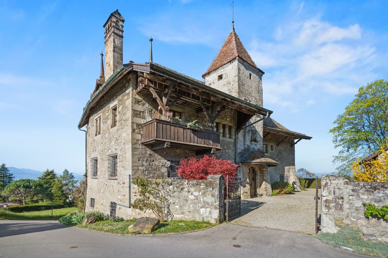 Château de Bochat Authentique et de nature familiale (4)