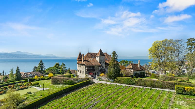 Château de Bochat Authentique et de nature familiale (1)