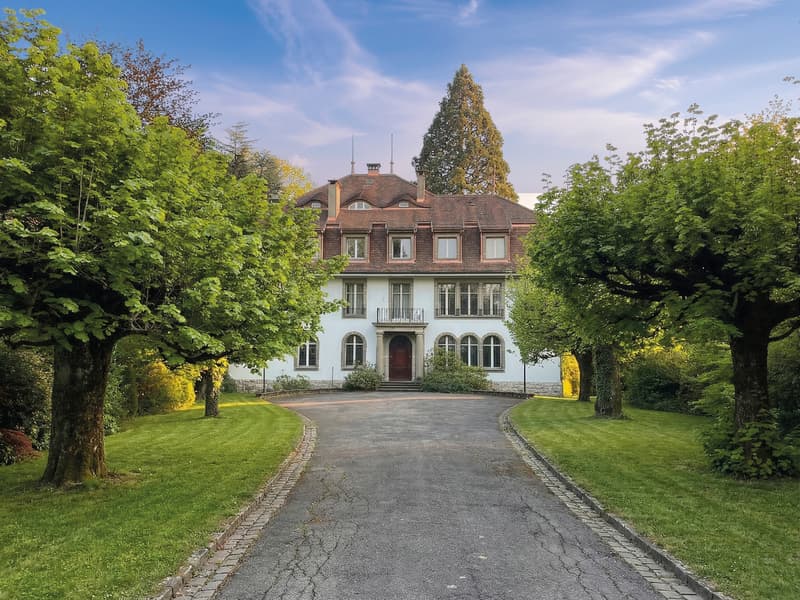 Maison de Maître à fort potentiel (1)