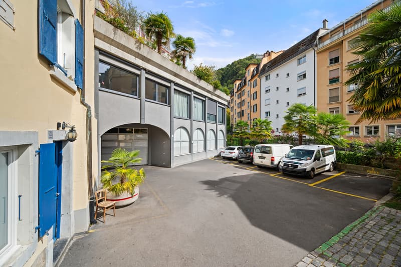 Superbe loft avec possibilité d'activité indépendante (2)
